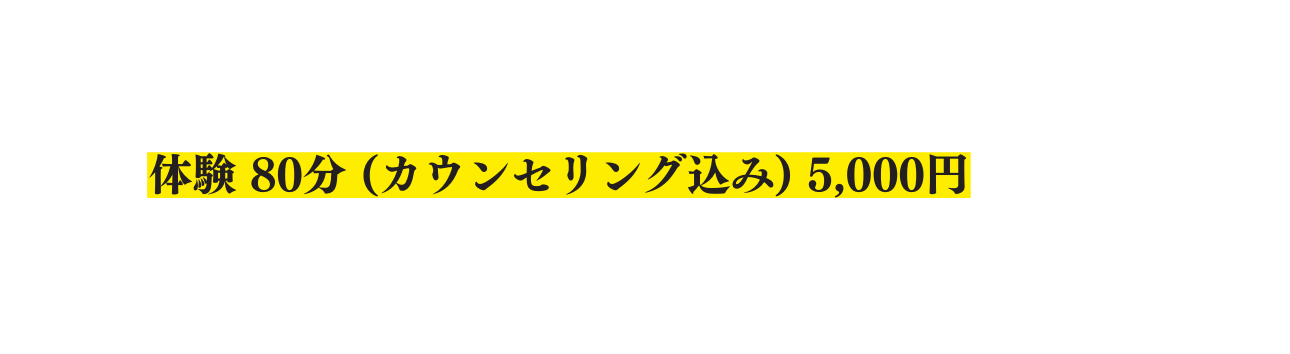 体験 80分 カウンセリング込み 5 000円